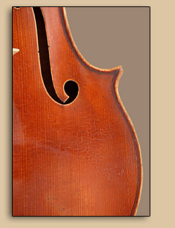 1995 Viola for Linda Ghidossi-DeLuca — Antiquing Close-Up